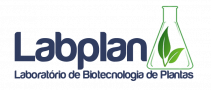 Labplan